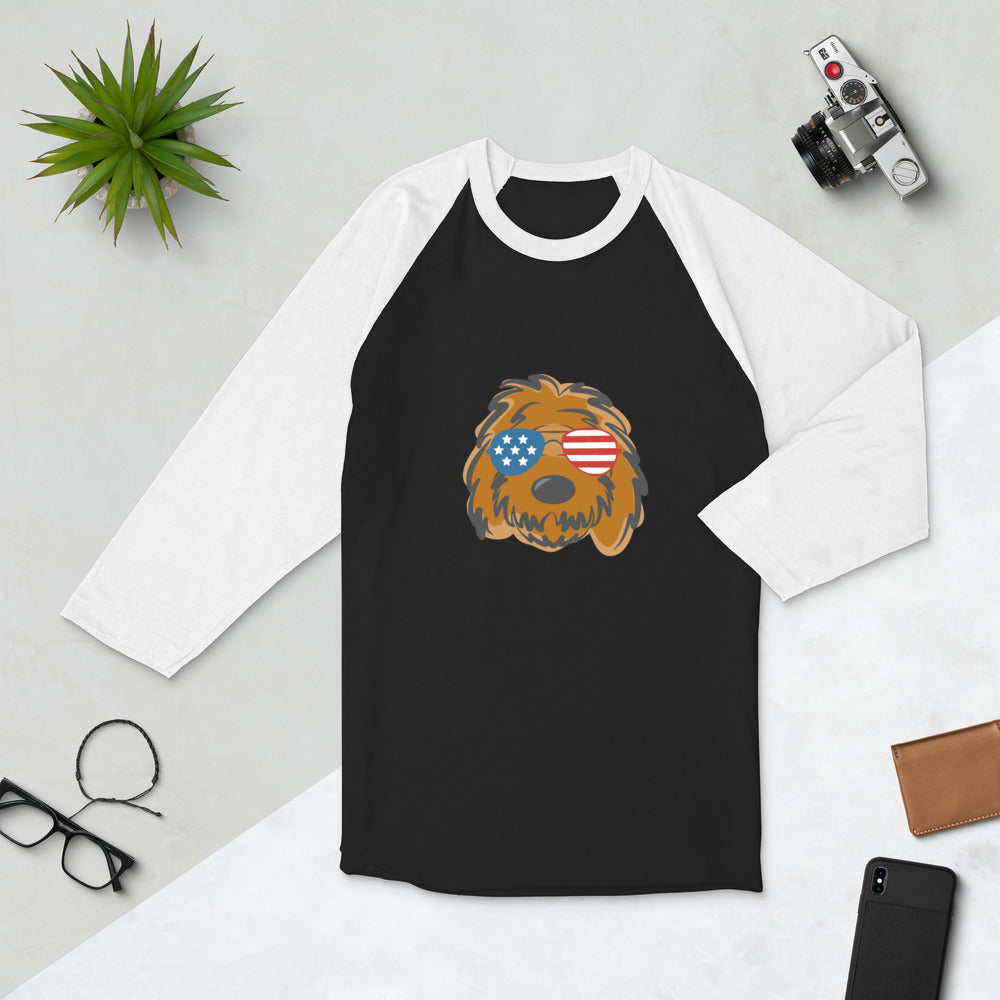 patriotic doodle sunglasses raglan