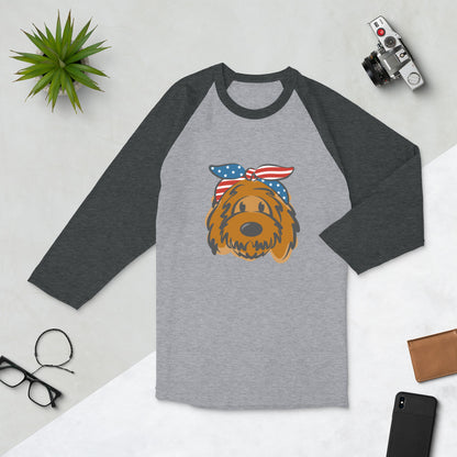 Patriotic Tuxedo Doodle Raglan